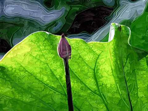 裝飾畫  荷花