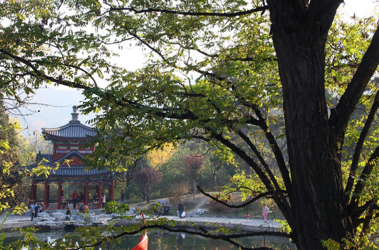 香山公園