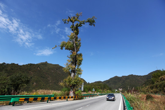 高速公路