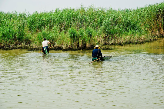 东平湖湿地