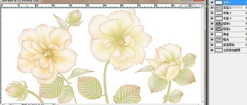 花卉 手繪 清新 花朵