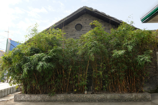 三道堰古镇竹林景观