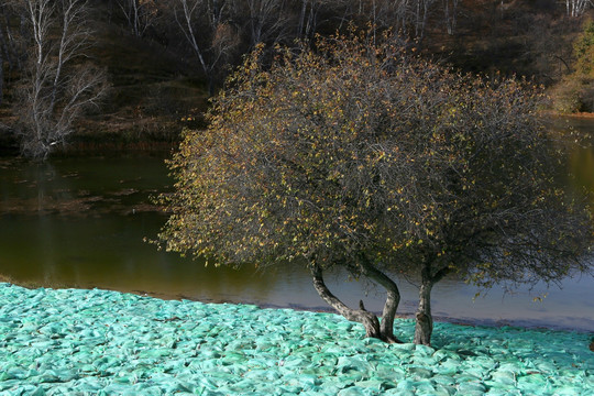 公主湖风景区