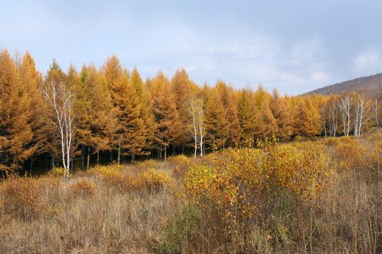 蛤蟆坝风景区