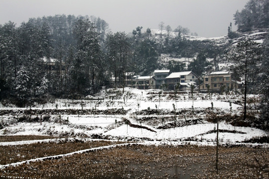 雪村