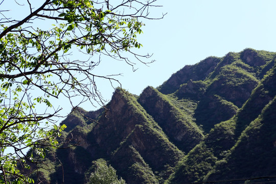 百里山水画廊