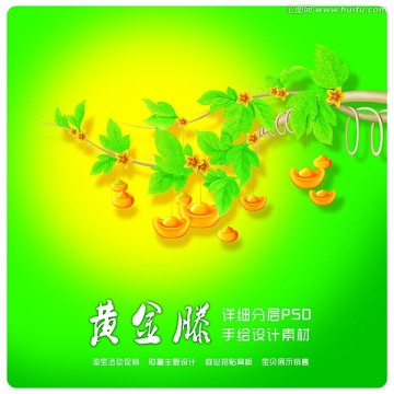 發(fā)財(cái)滕
