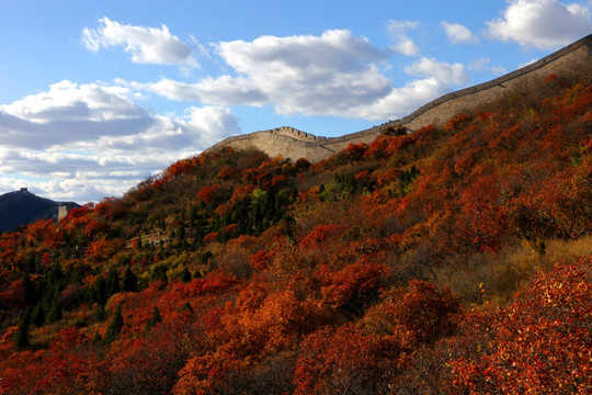 八达岭森林公园