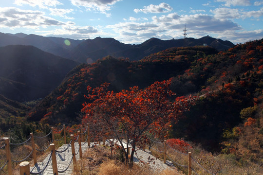 八达岭森林公园