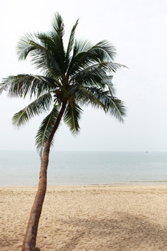 天涯海角风景区