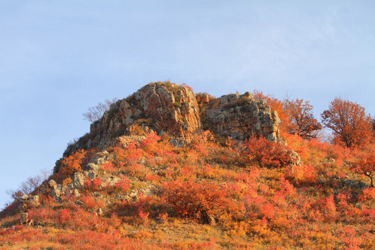 乌兰布统 秋山红叶