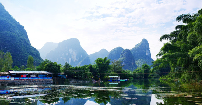 阳朔大榕树景区 山水风光