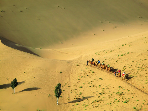 巴丹吉林沙漠 驼队