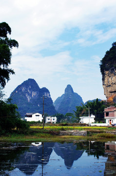 大榕树景区风光 （非高清）