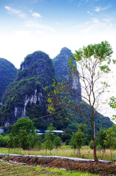 阳朔风光