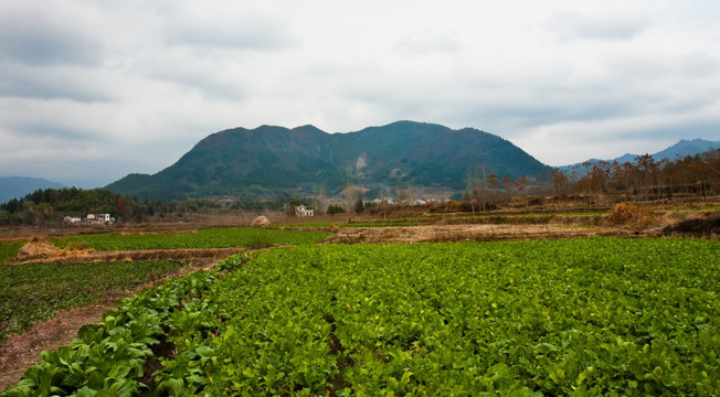 屏山屏风山