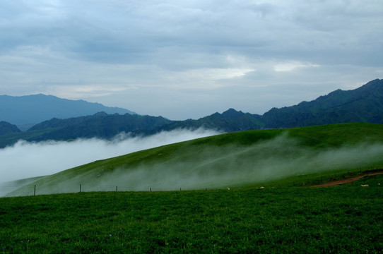 高山晨雾