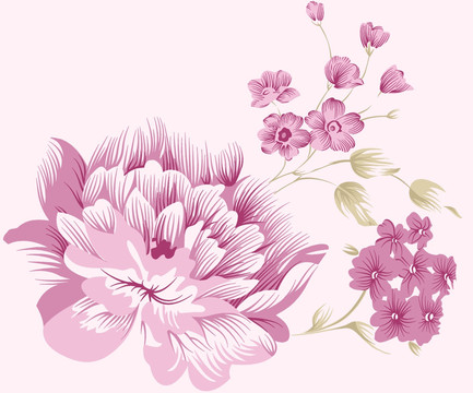 花卉素材