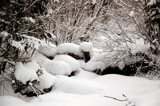 白雪山林