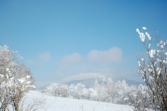 冬天雪景素材