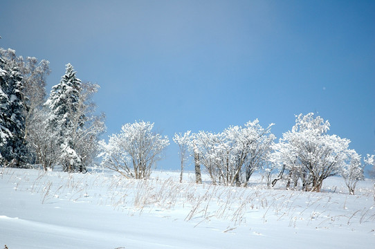 冬天雪景素材