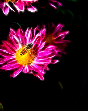 裝飾畫  抽象畫 菊花蜜蜂