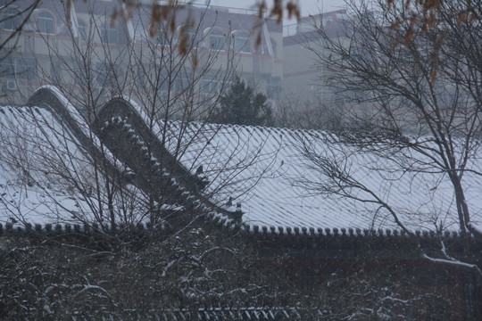 雪景