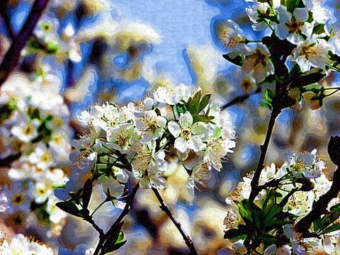 装饰画  海棠花