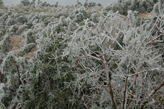 桂林尧山雪景