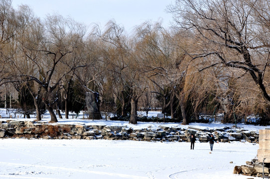 雪景