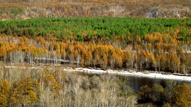 秋之森林河