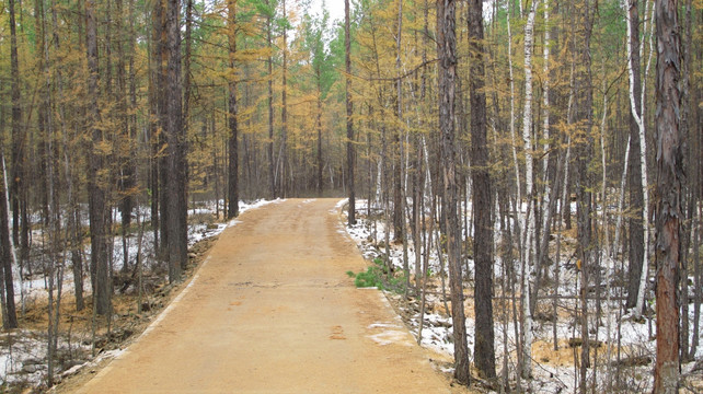 林间小路