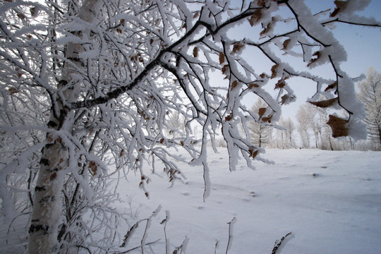 东北雪乡