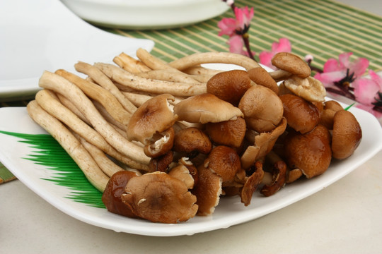 麻辣香锅 茶树菇