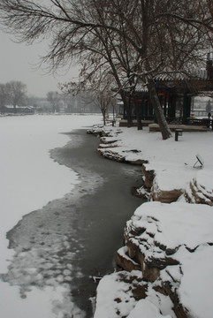 北宁公园的雪景