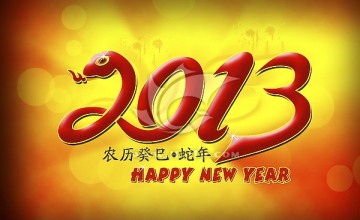 2013 蛇年