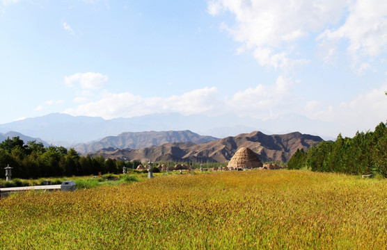 宁夏银川西夏陵