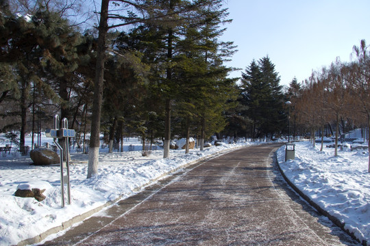 雪路