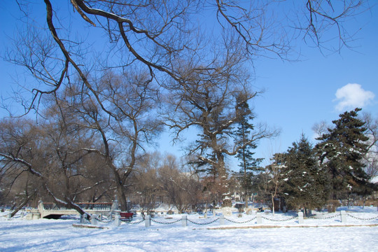 雪景