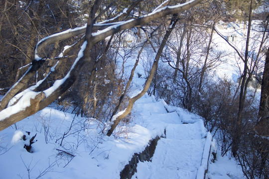 雪山天梯