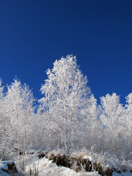 雪景