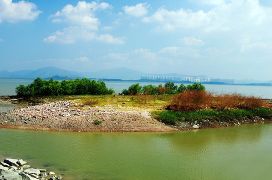 深圳湾风光