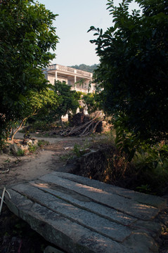 田园 农家小院