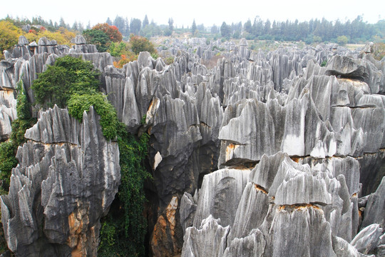 云南 石林风景区