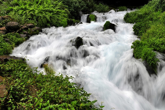 黑鱼河