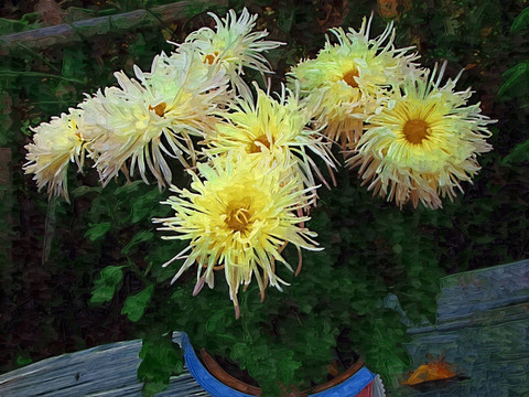 裝飾畫   菊花