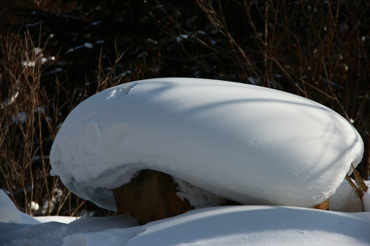 雪乡风景