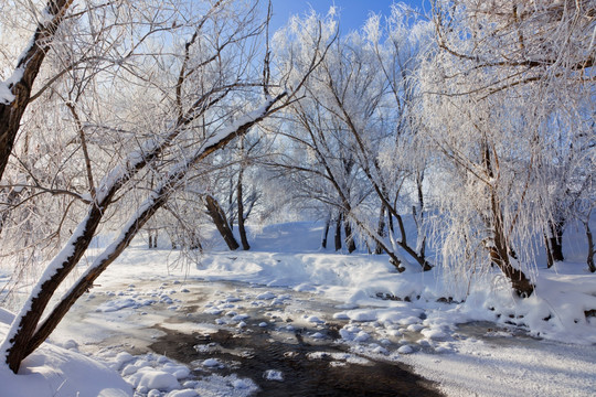 雪景