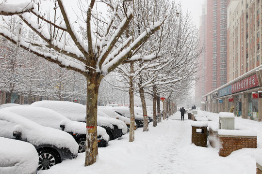 住宅小区雪景