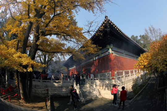 北京红螺寺